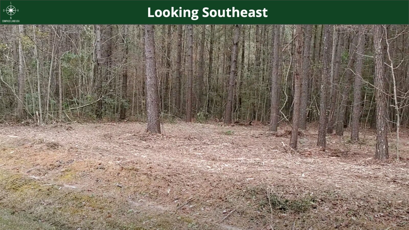 3.29 Acres Land for Sale in Blounts Creek Beaufort County North Carolina