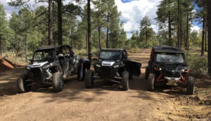 Buena Vista Trailhead, Show Low AZ