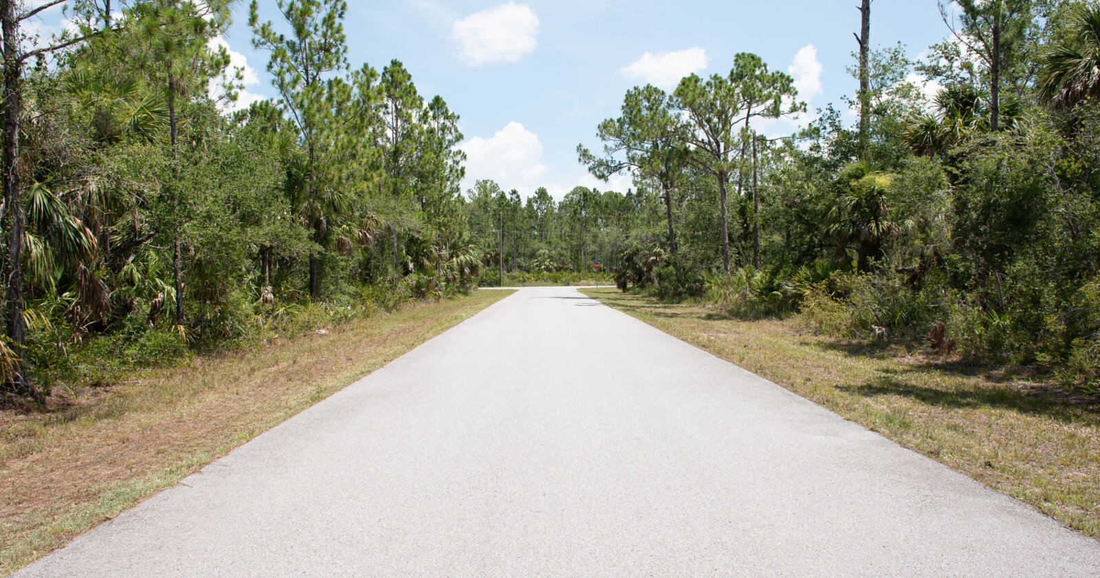 Florida Land For Sale - Compass Land USA