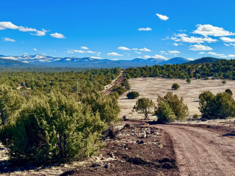 Arizona Land For Sale - Compass Land USA