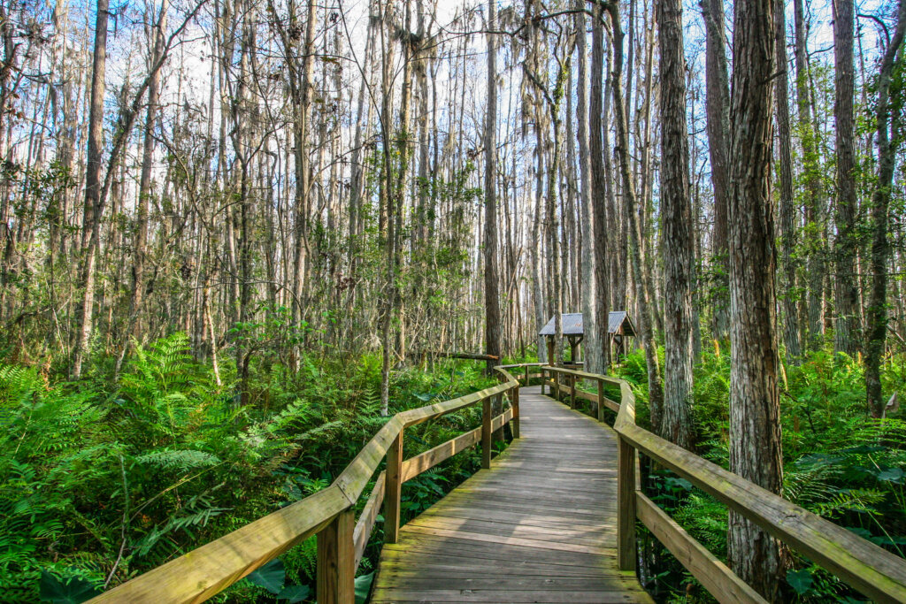 Land for Sale Florida