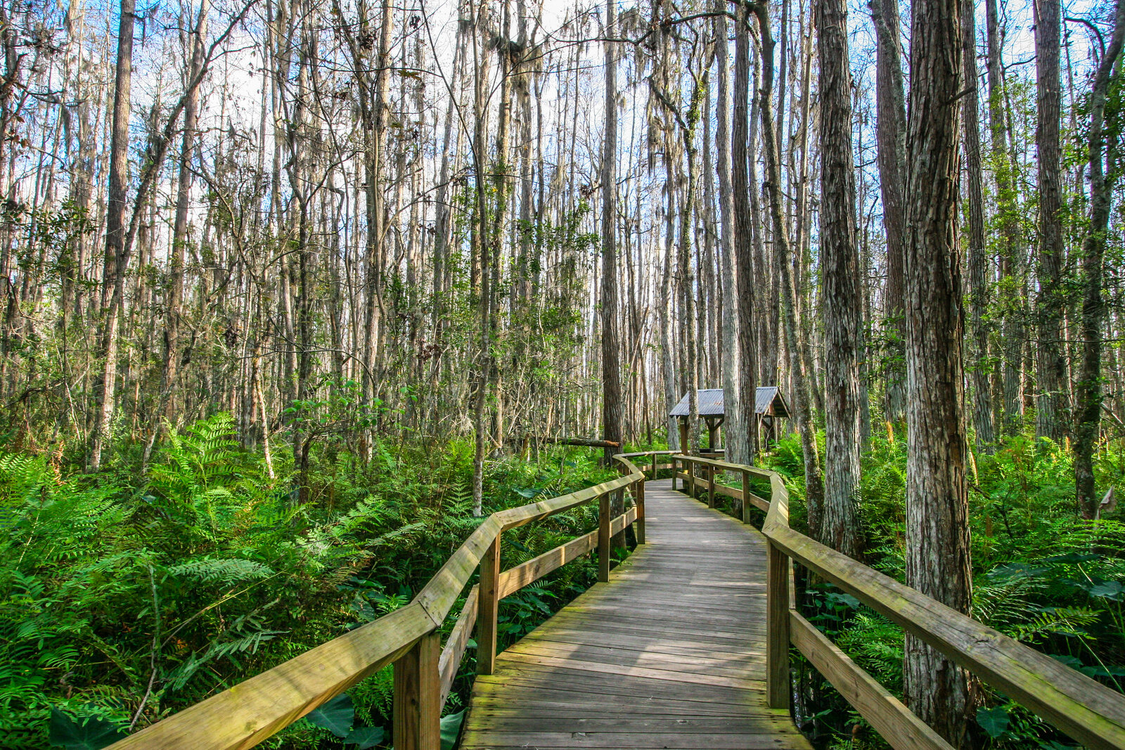 Land for Sale Florida