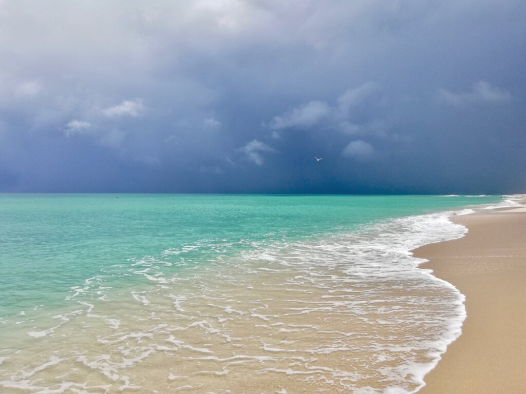 increased number of storms on florida's coasts