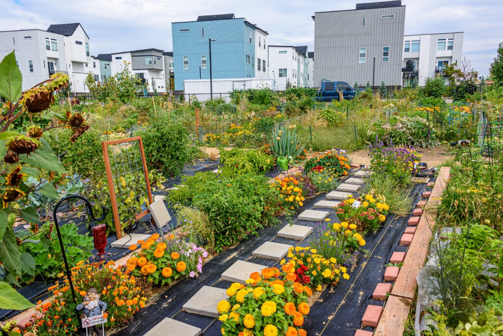 community garden is a great use for abandonded land