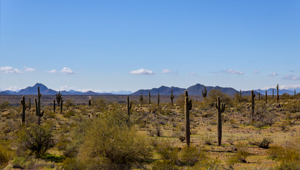 Land For Sale Arizona