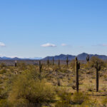 Land For Sale Arizona