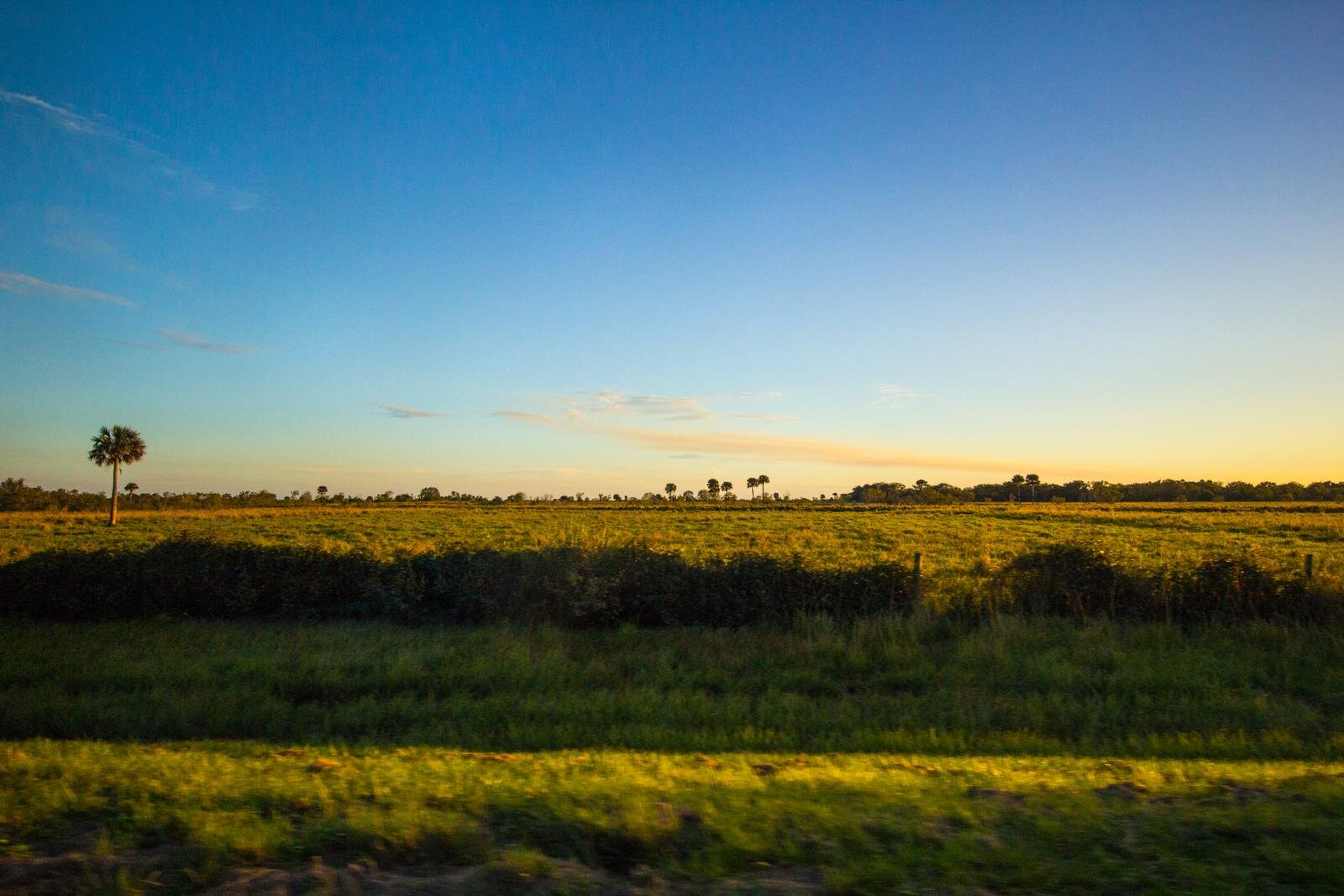 Land Florida For Sale