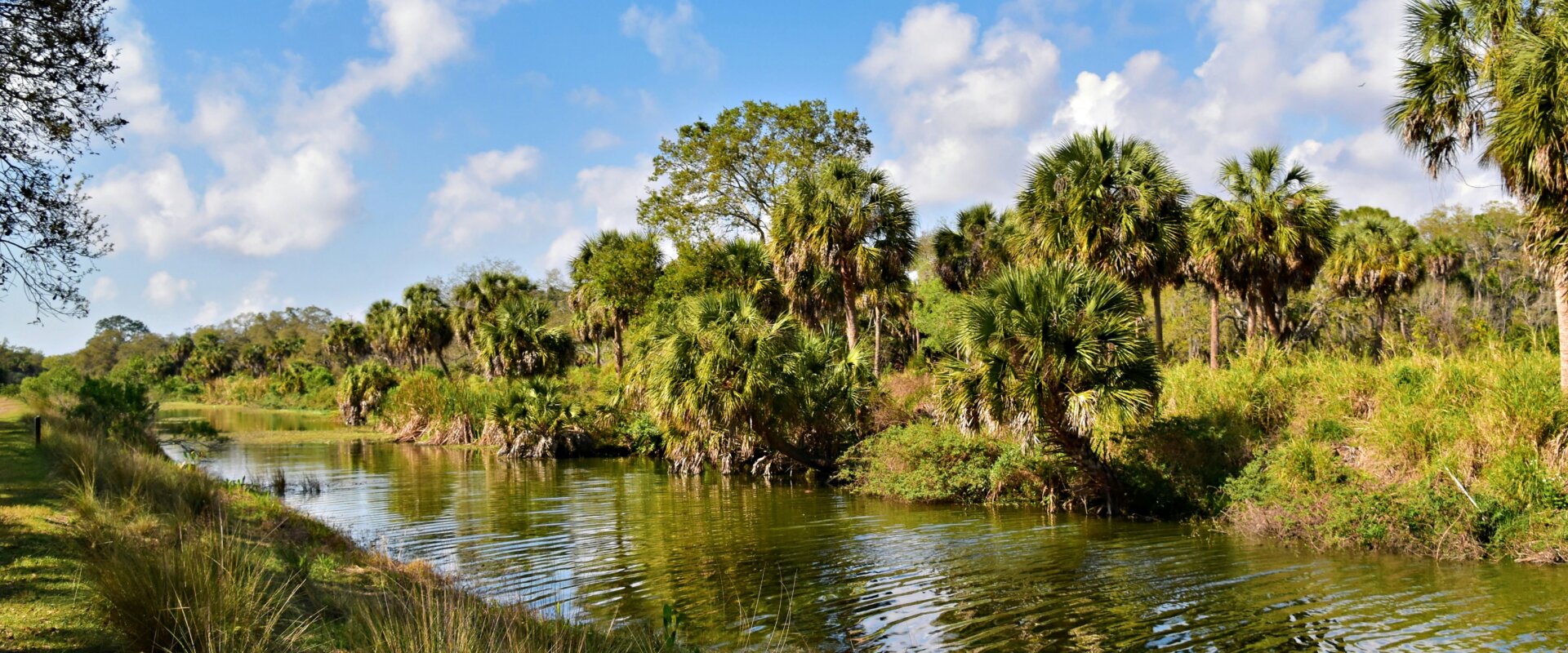 Florida Waterfront Summer