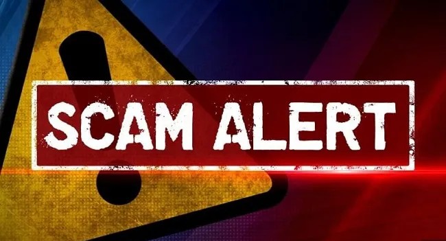 TMF Lawns Arlington TX - Tony Alagenchev TMF Lawns Arlington TX - Tony Alagenchev