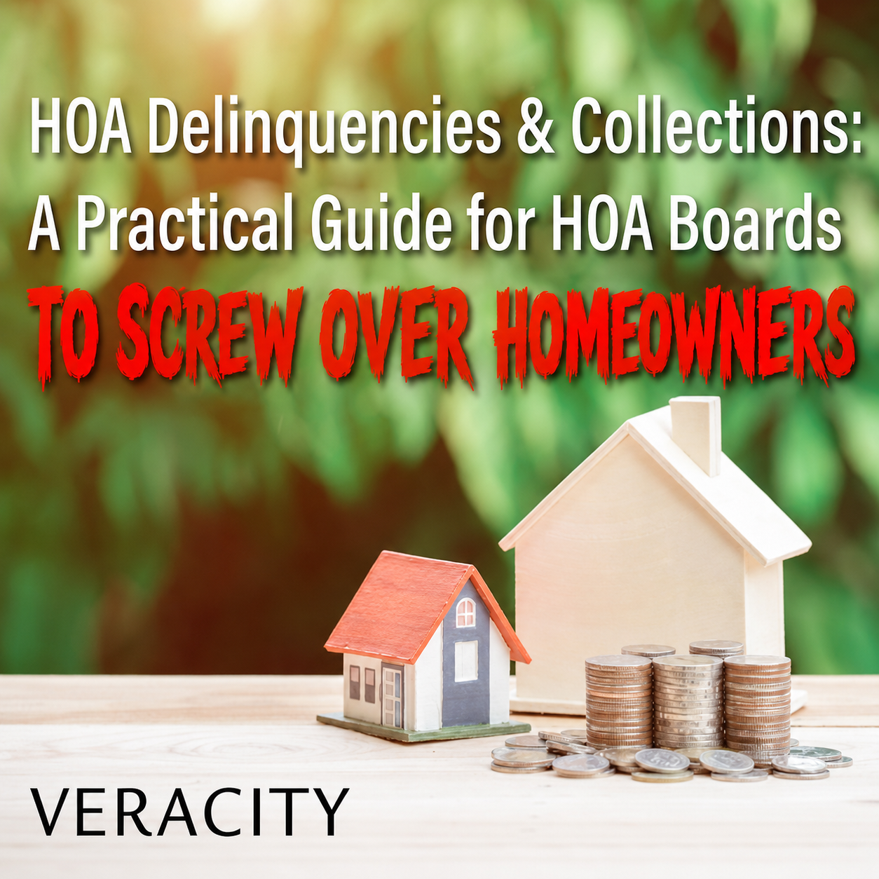 Veracity Inc - HOA Property Management Reviews - Vic Bosnich - Lori Welsh - Nicole Foley
