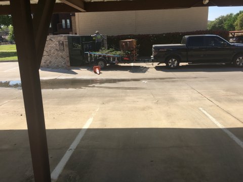 TM&F Lawns - Landscaping Scam - Tony Alagenchev