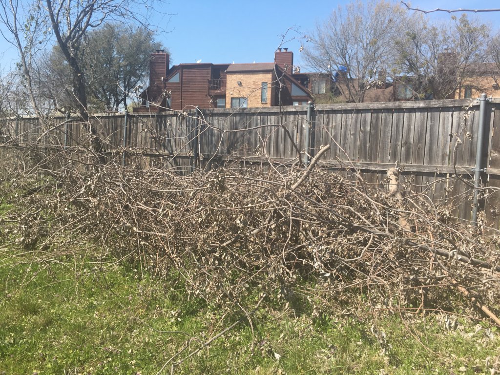 TM&F Lawns - Arlington TX - Landscaping Scam
