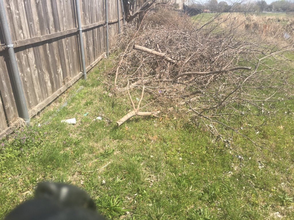 TM&F Lawns - Arlington TX - Landscaping Scam