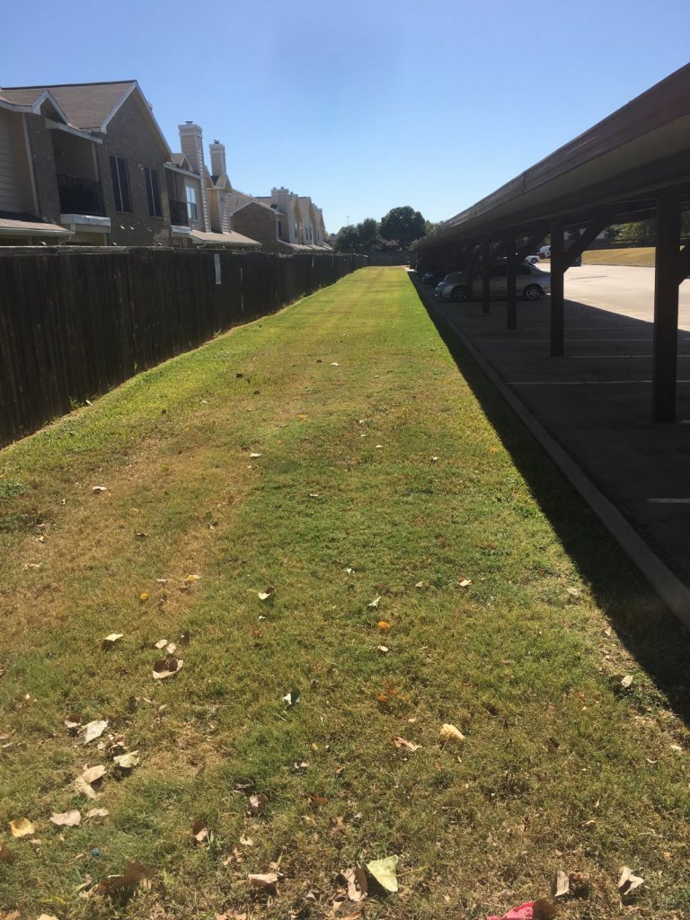 TM&F Lawns - Arlington TX - Billing Scam