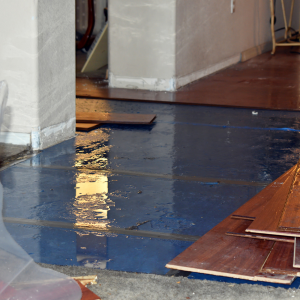 Sell My Water Damaged House In California