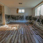 How to Sell a House With Mold California