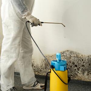 Sell a House With Mold California