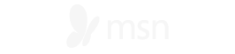 msn logo