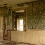 Interior of a house with damaged walls