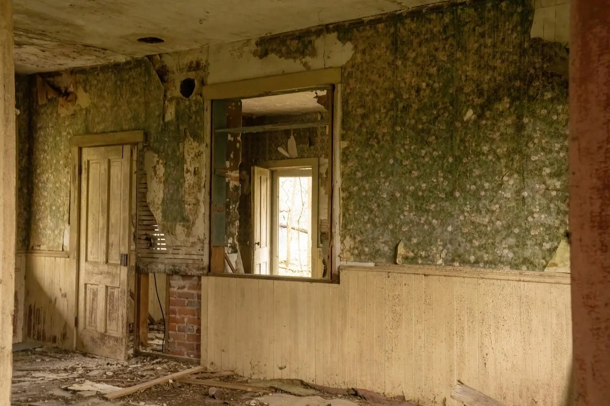 Interior of a house with damaged walls