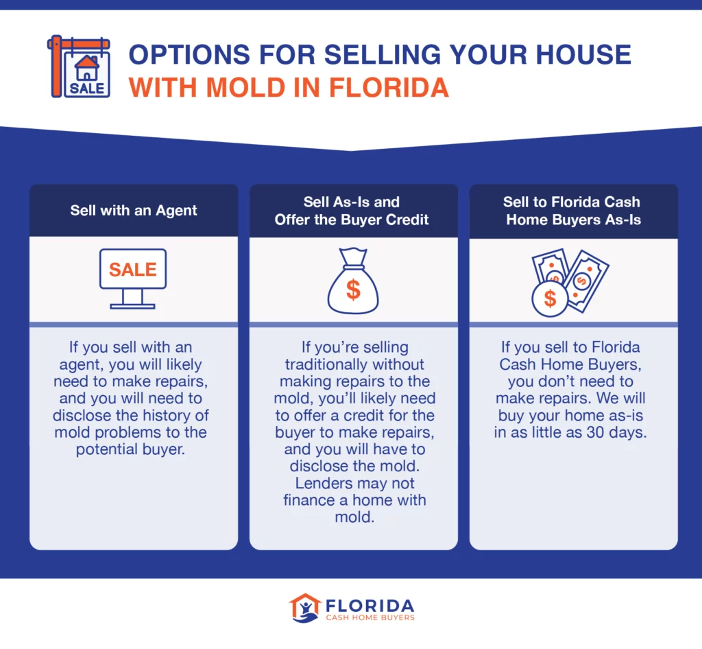 options for selling your house with mold in Florida