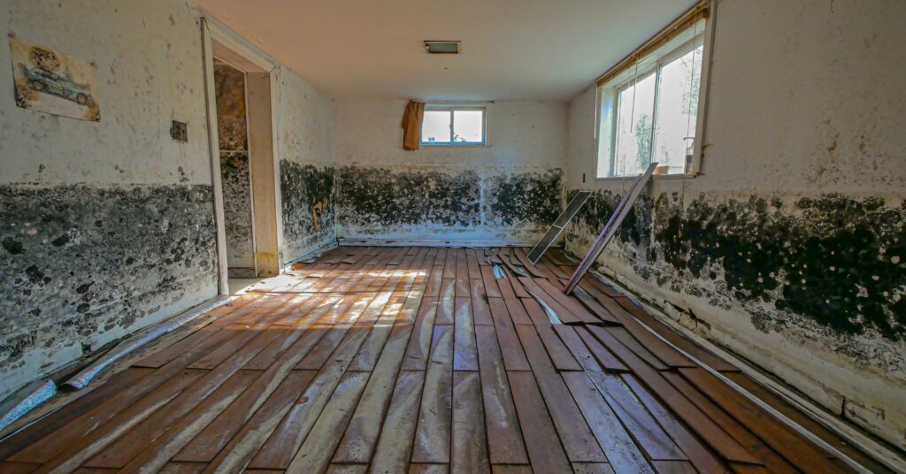Sell a House in Hollywood, FL with Mold