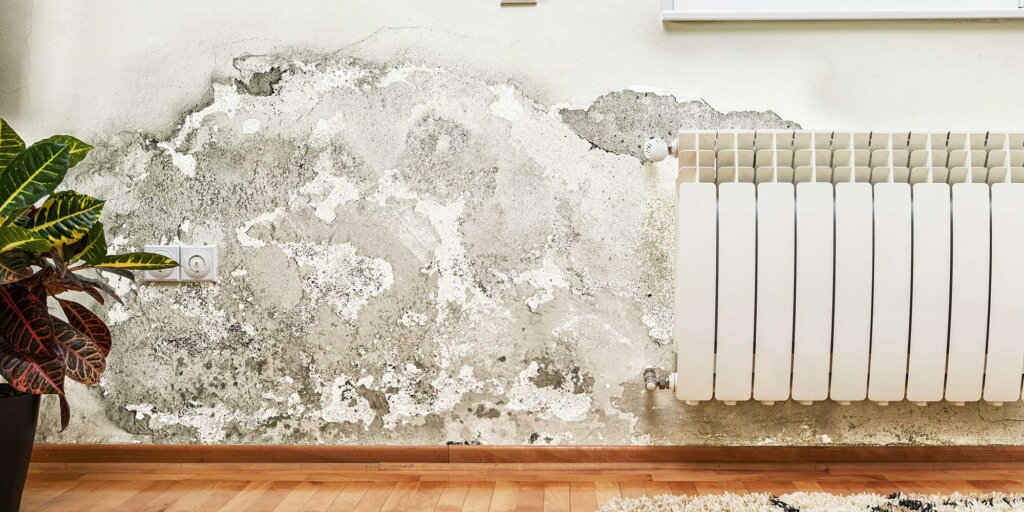 Sell a House with Mold in Dania Beach, FL