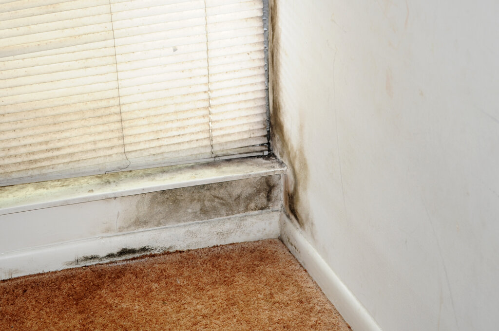 Selling a House with Mold in Oakland Park, FL