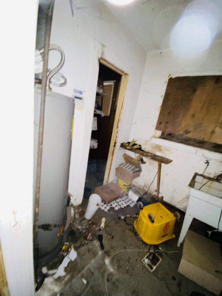 No need to clean.