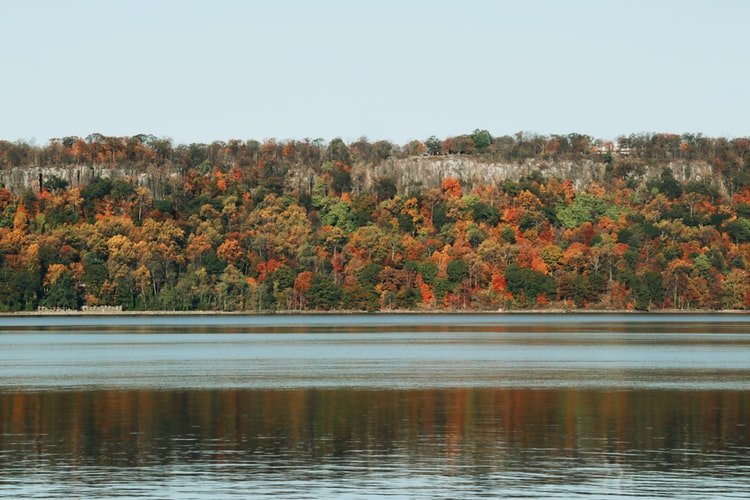New York Land sold by Surplus Asset Specialists, Inc.