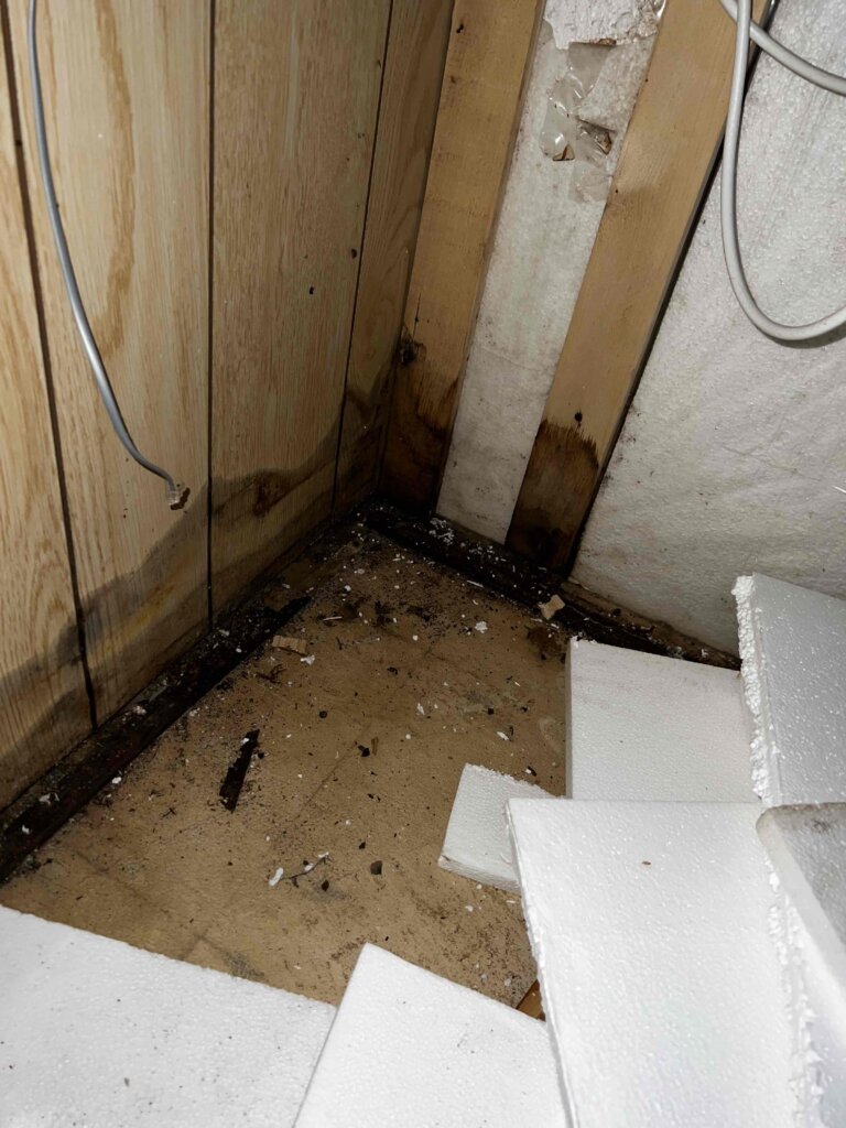 we buy houses in Palm Bay with Mold