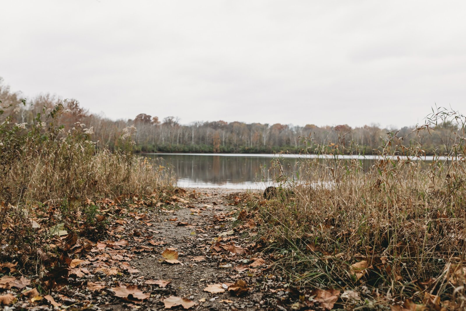 Land Property Partners, LLC