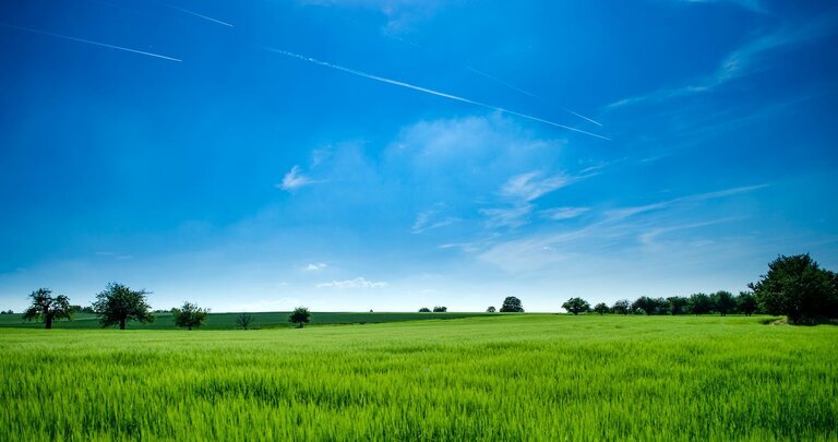 Land Survey and Boundary Clarifications