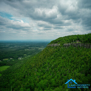 New York Property Tax Delinquency Solutions
