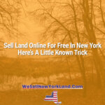 Sell Land Online For Free In New York — Here’s A Little Known Trick