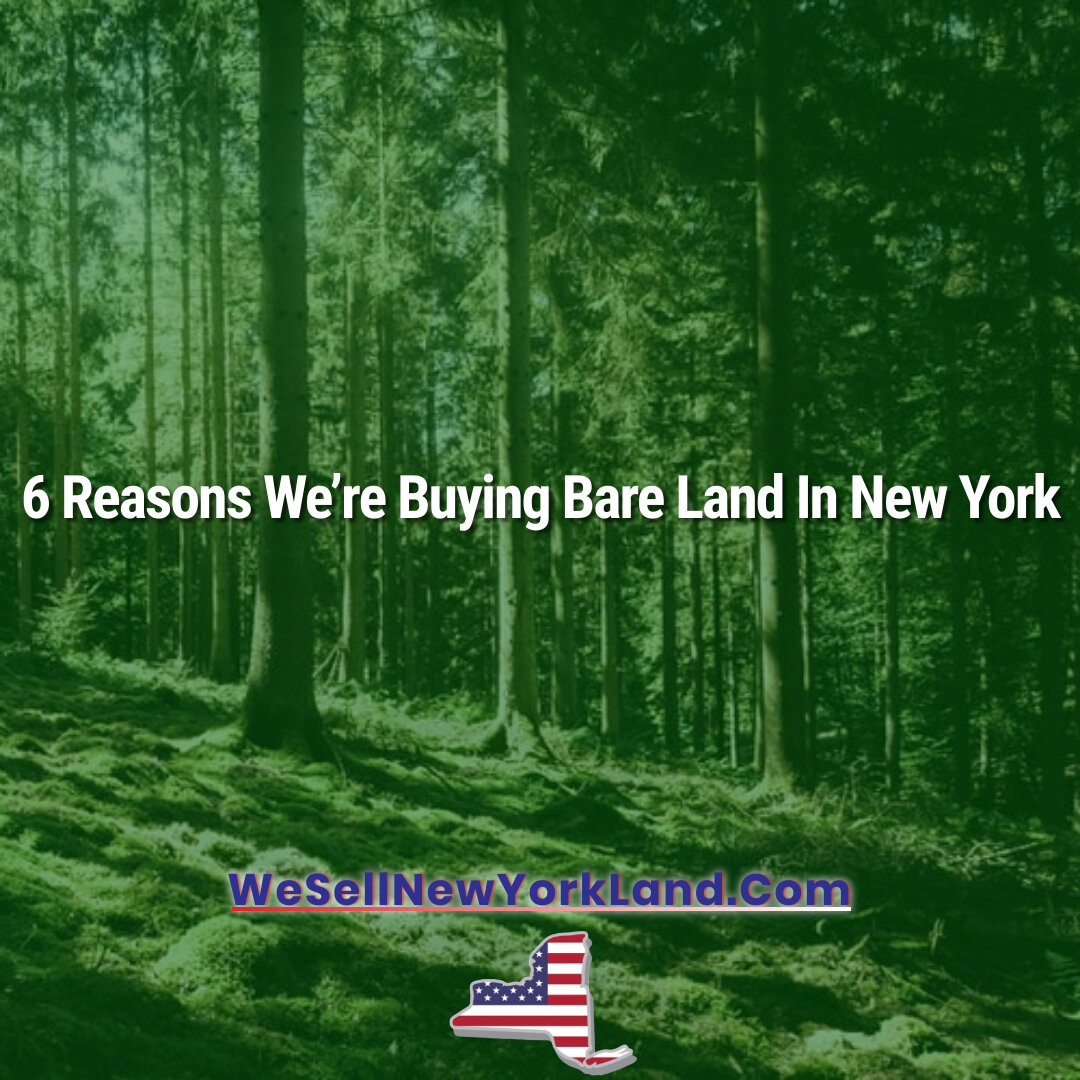 6 Reasons We’re Buying Bare Land In New York