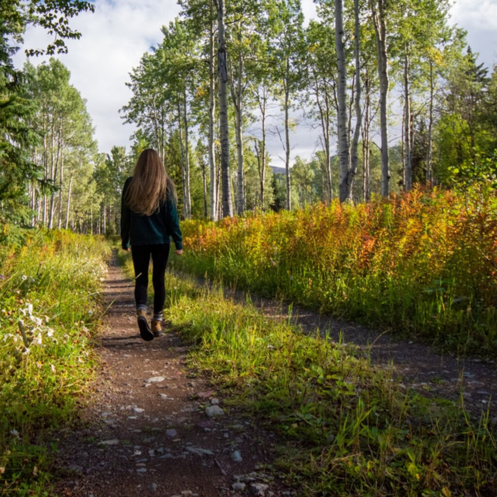 What to Look For When Buying Cheap Land in New York
