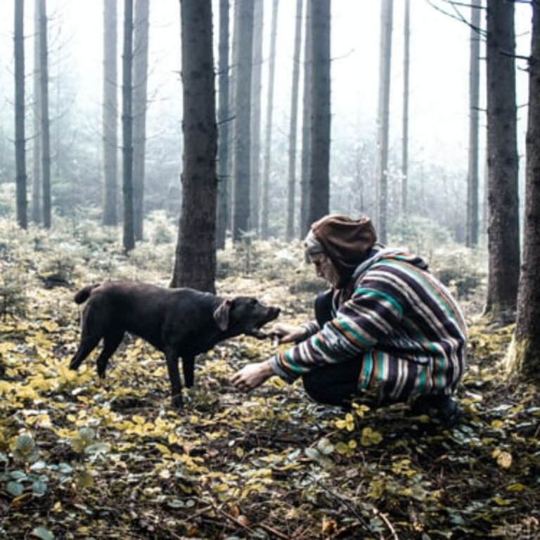 6 Steps To Buying Vacant Land In New York