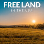 Easy Ways You Can Get Free Land in the USA In 2021