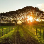 Where to Find the Cheapest Land in the US