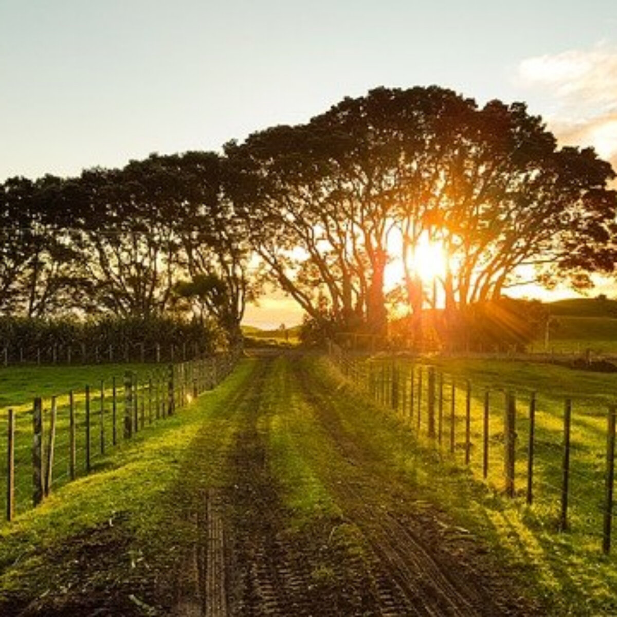 Where to Find the Cheapest Land in the US