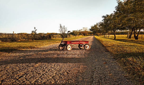 So You've Inherited Land With Back Taxes...What's Next?