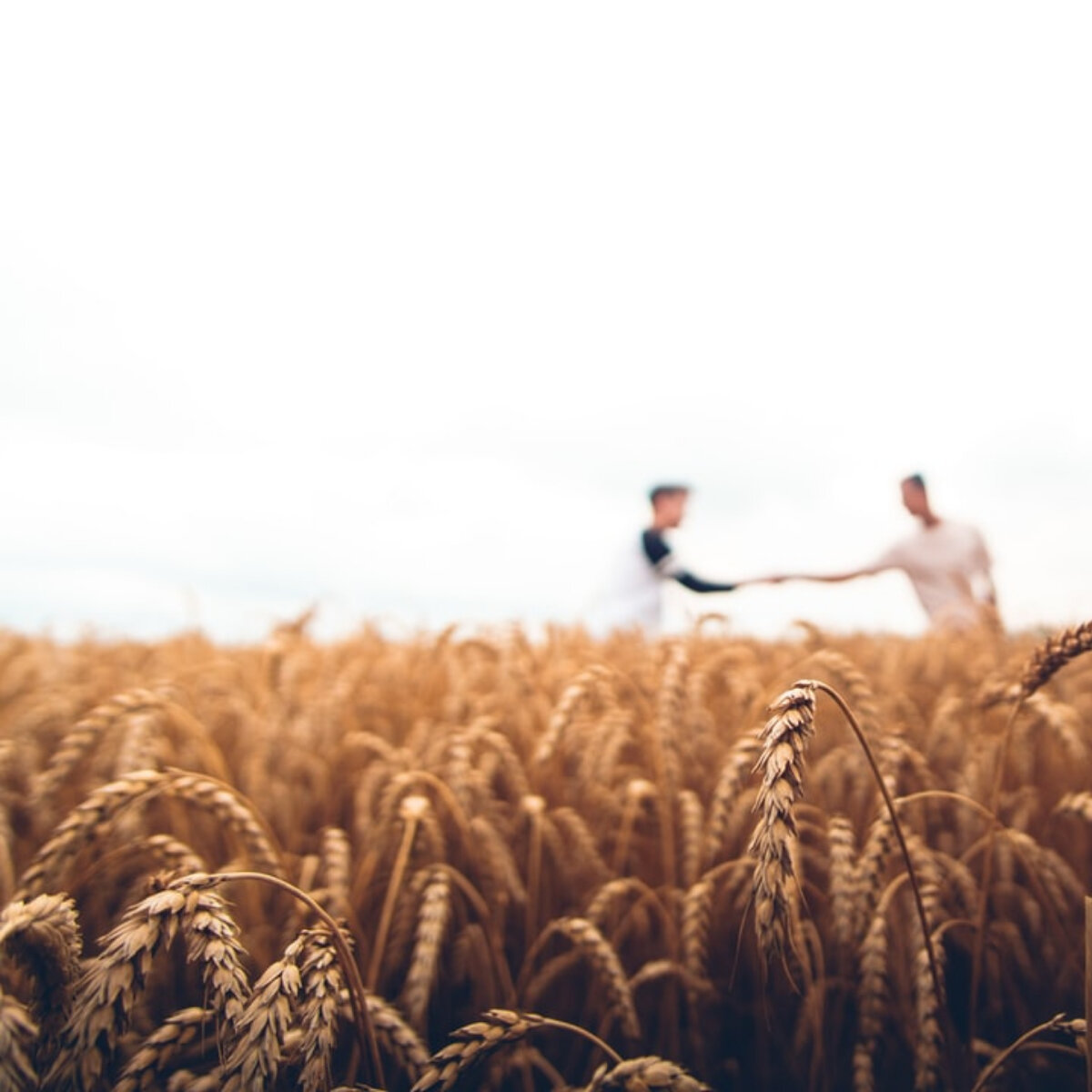 Avoid Common Pitfalls With Due Diligence When Purchasing Vacant Land