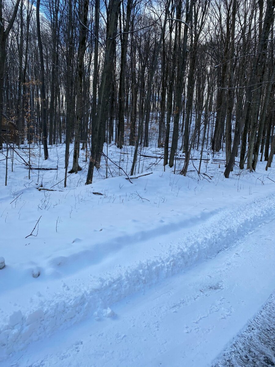Reasons to Make a Land Investment During Winter Season