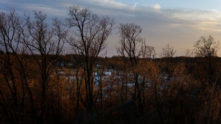 10 Questions To Help You Choose The Right Plot of Land in New York
