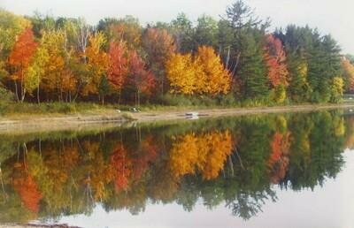 Lakes of the North Michigan