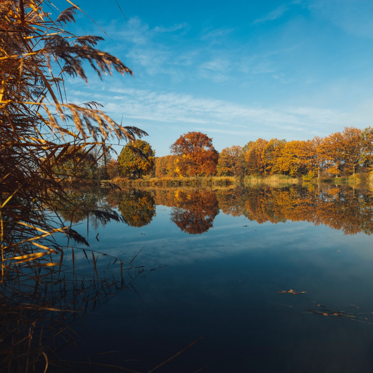 What To Do With Undeveloped Land in Michigan
