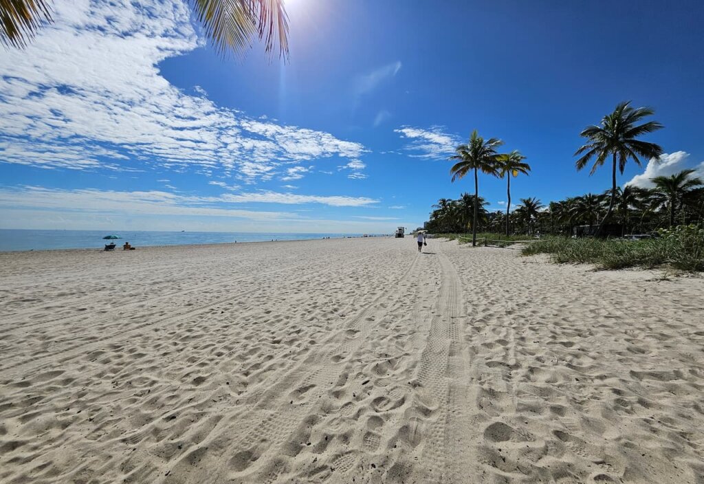 Thumbnail-For-Hugh Taylor Birch State Park-Florida -By-Better Off Home Buyers