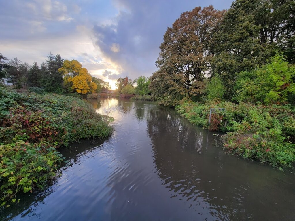 Image of a river in Beaverton