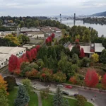 Thumbnail-For-Saint-Johns-Portland-By-Better-Off-Home-Buyers